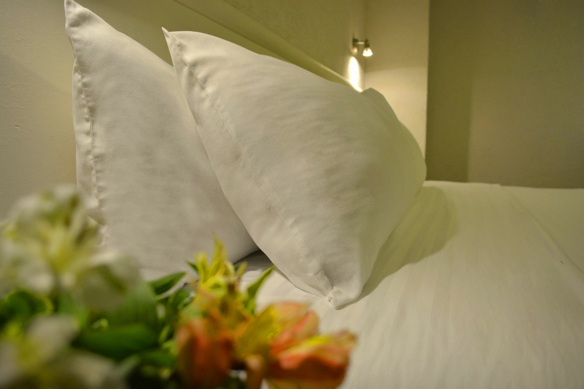 Eco Express Hotel Zamora Zamora  Esterno foto